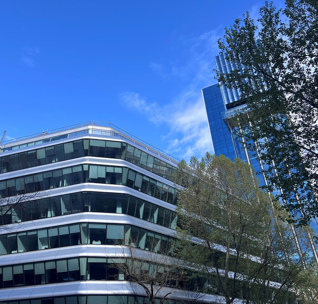 Kinship - Oficina Génova